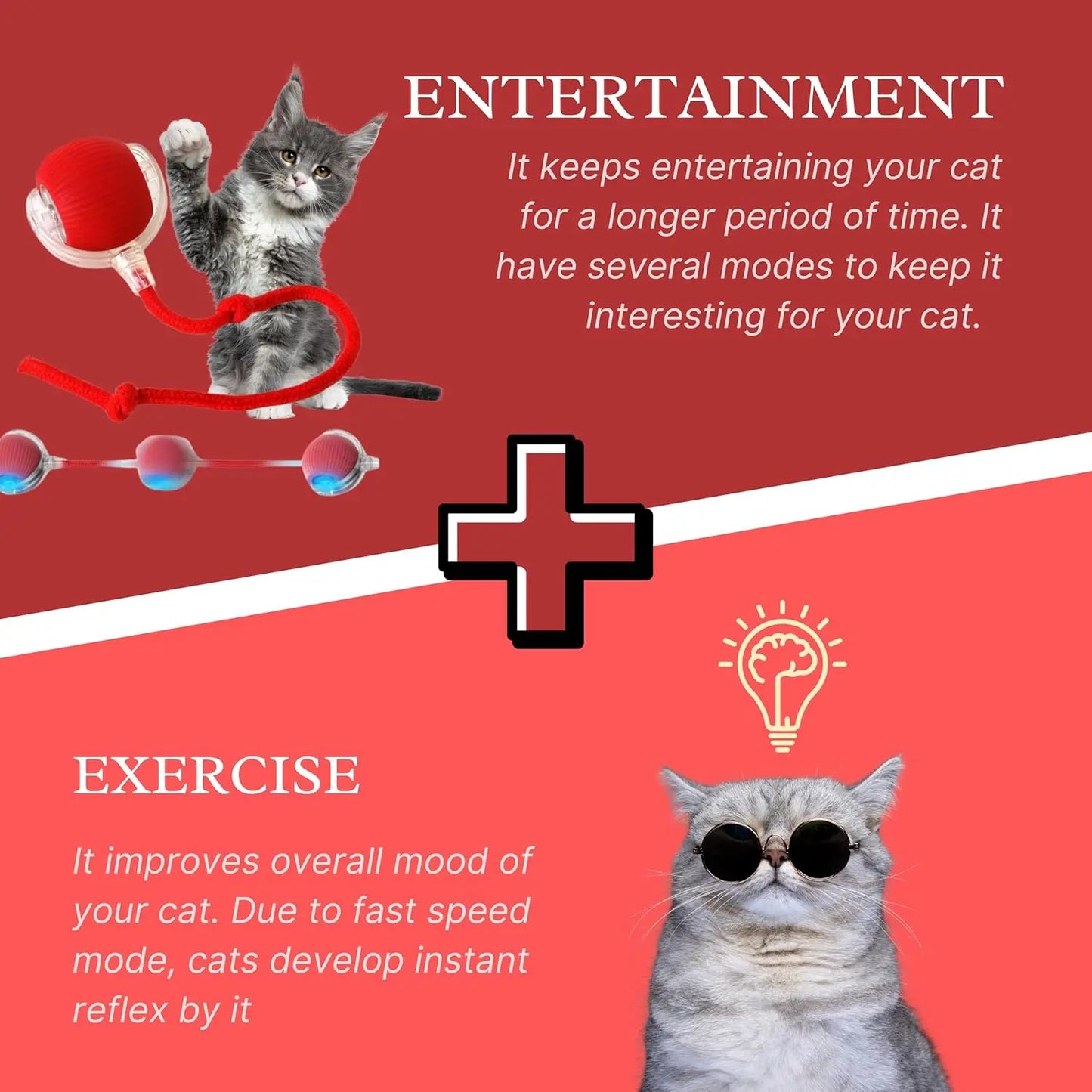 Speedy Tail 2.0 Interactive Pet Toy FurEase