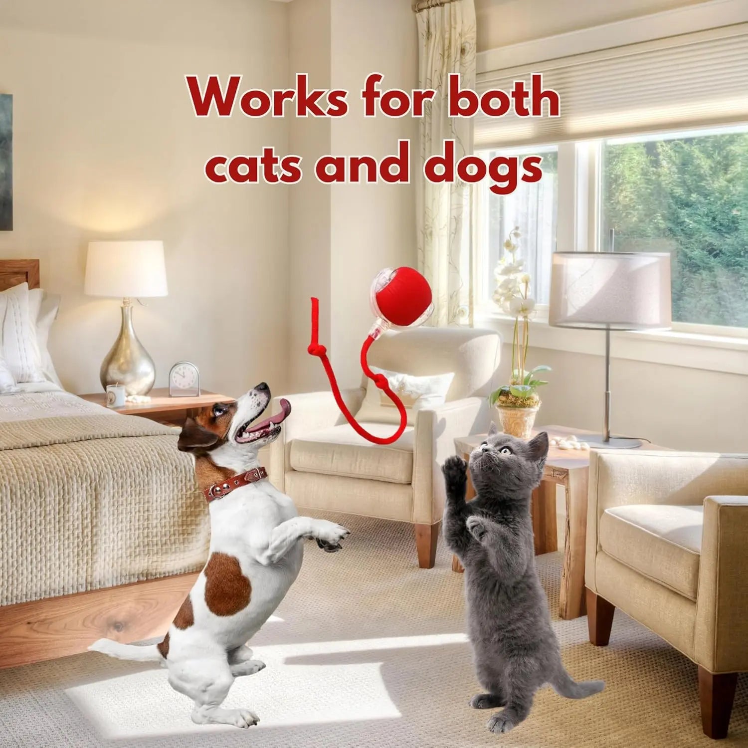 Speedy Tail 2.0 Interactive Pet Toy FurEase